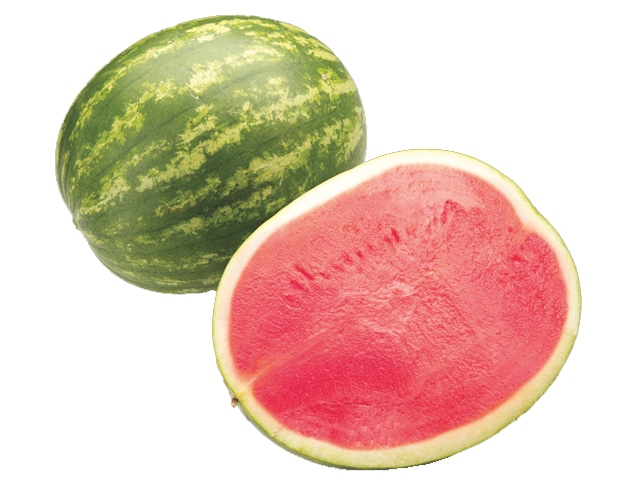 Red Watermelon Treated) | Seedway