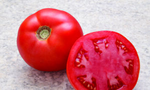 Simplicity Tomato (Treated Seed)