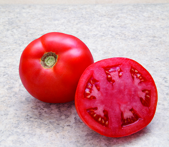 Simplicity Tomato (Treated Seed)