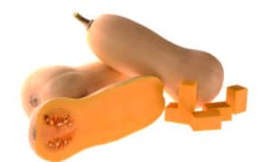 Yukon Squash (Treated Seed)