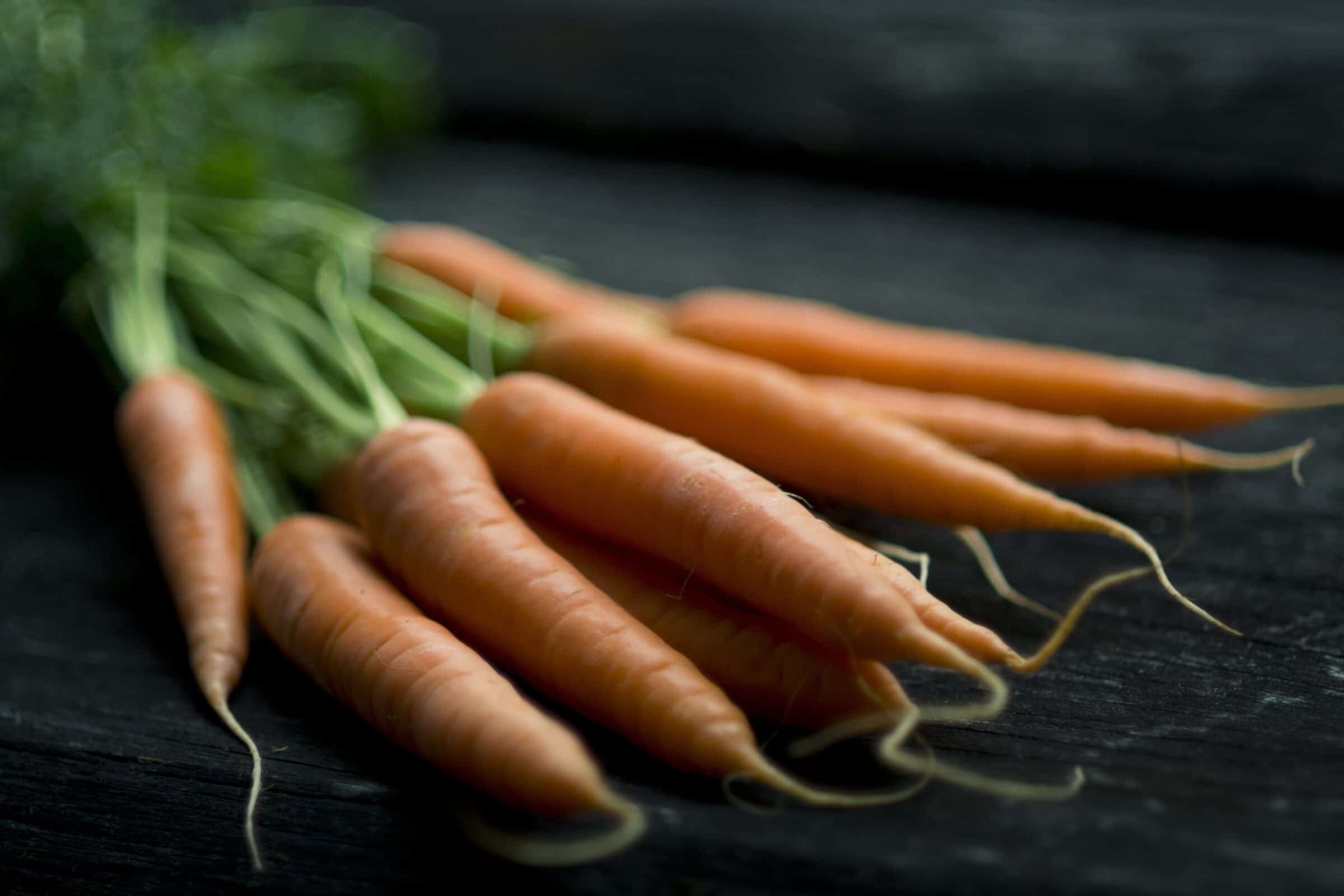 Category: Carrot Seeds | Seedway