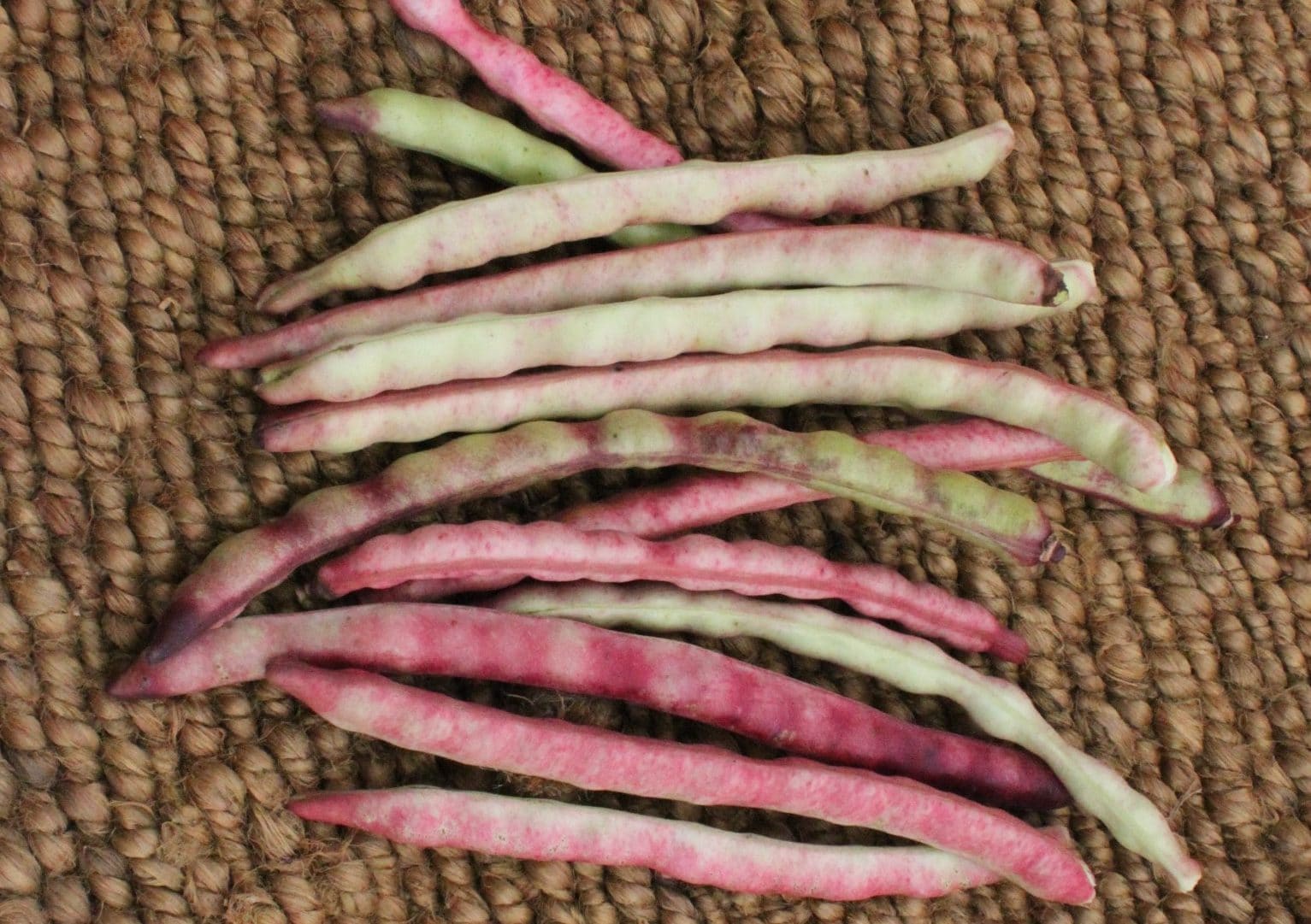 Category: Southern Peas (Cowpea) | Seedway