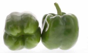 Playmaker Bell Pepper (Not Treated)