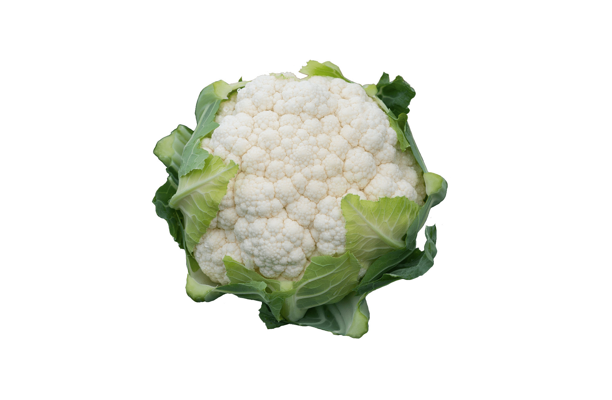 Bermeo Cauliflower (Organic)