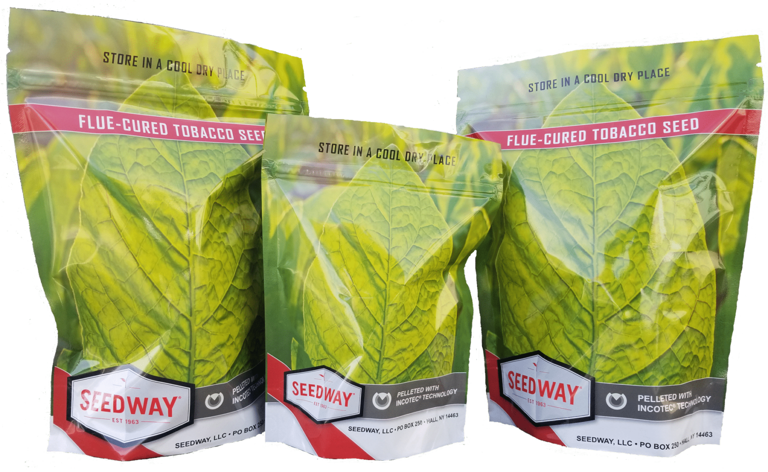 Tobacco Seed Seedway