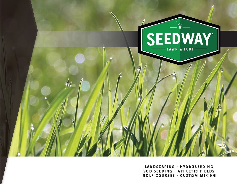 Lawn & Turf Seed Seedway