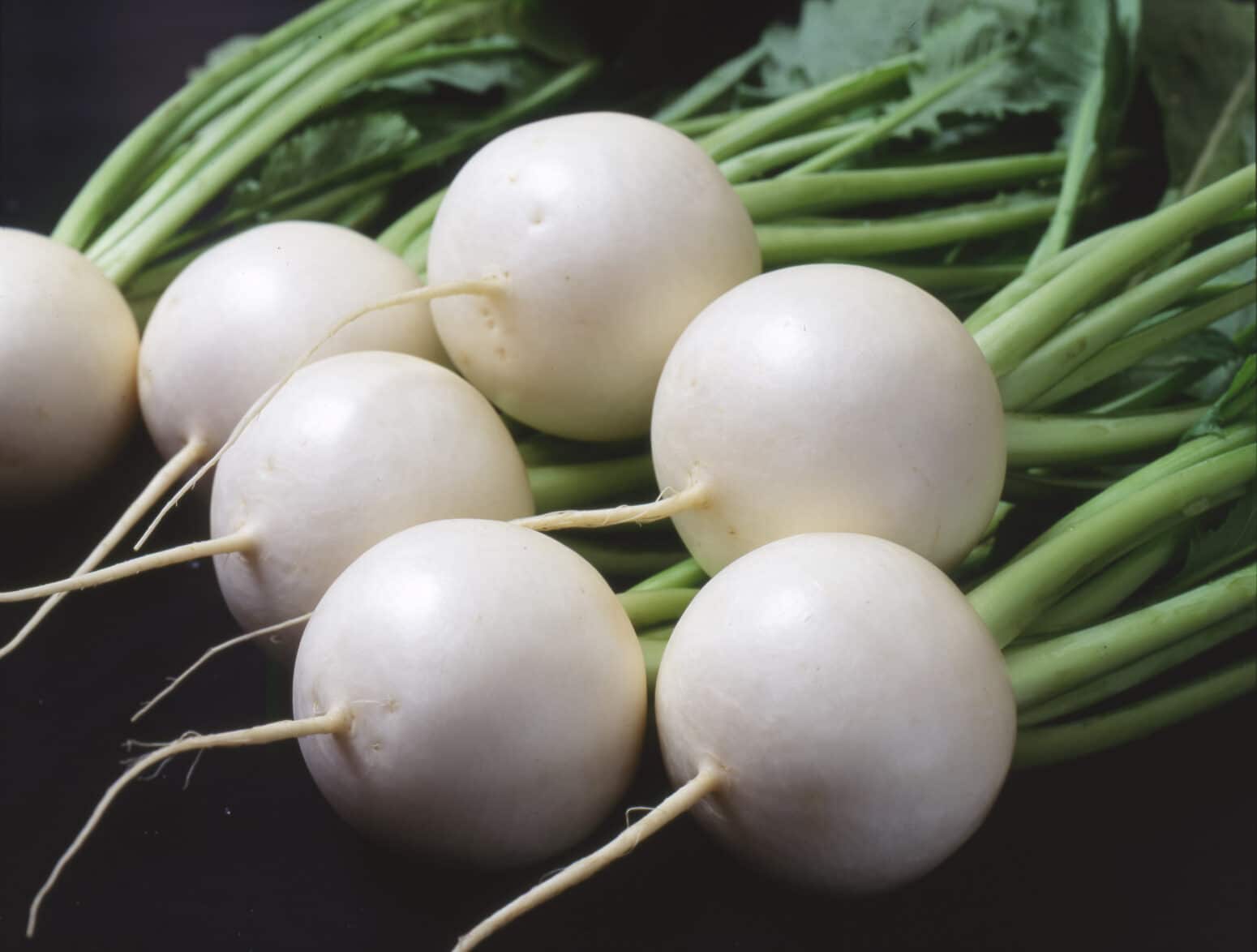 Hakurei Turnip (Not Treated) Seedway