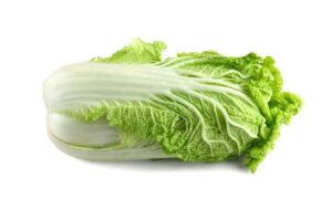 Michihli Chinese Cabbage (Not Treated)