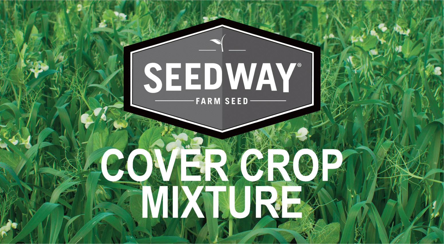 SW-FALLOW MIXTURE | Seedway