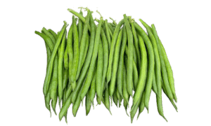 Jaguar Green Pod Bush Bean (Cruiser Treated)