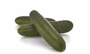 SV4142CL (Not Treated)