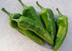 Mosco Hot Pepper (Treated Seed)