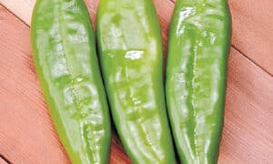 Sahuaro Anaheim Pepper (Treated Seed)