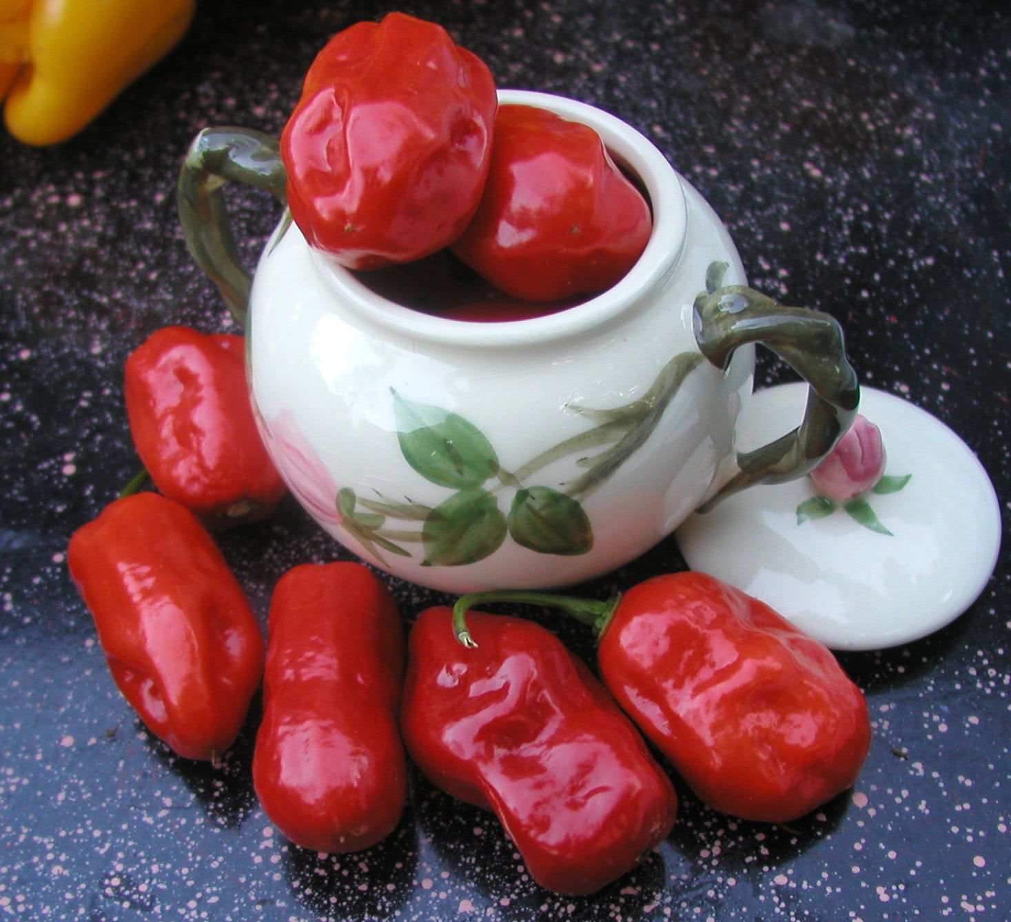 Zavory Habanero Type Pepper (Not Treated)