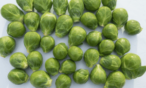 Attis Brussels Sprouts (Treated Seed)