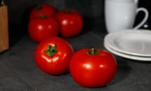 Red Snapper Tomato (Not Treated)