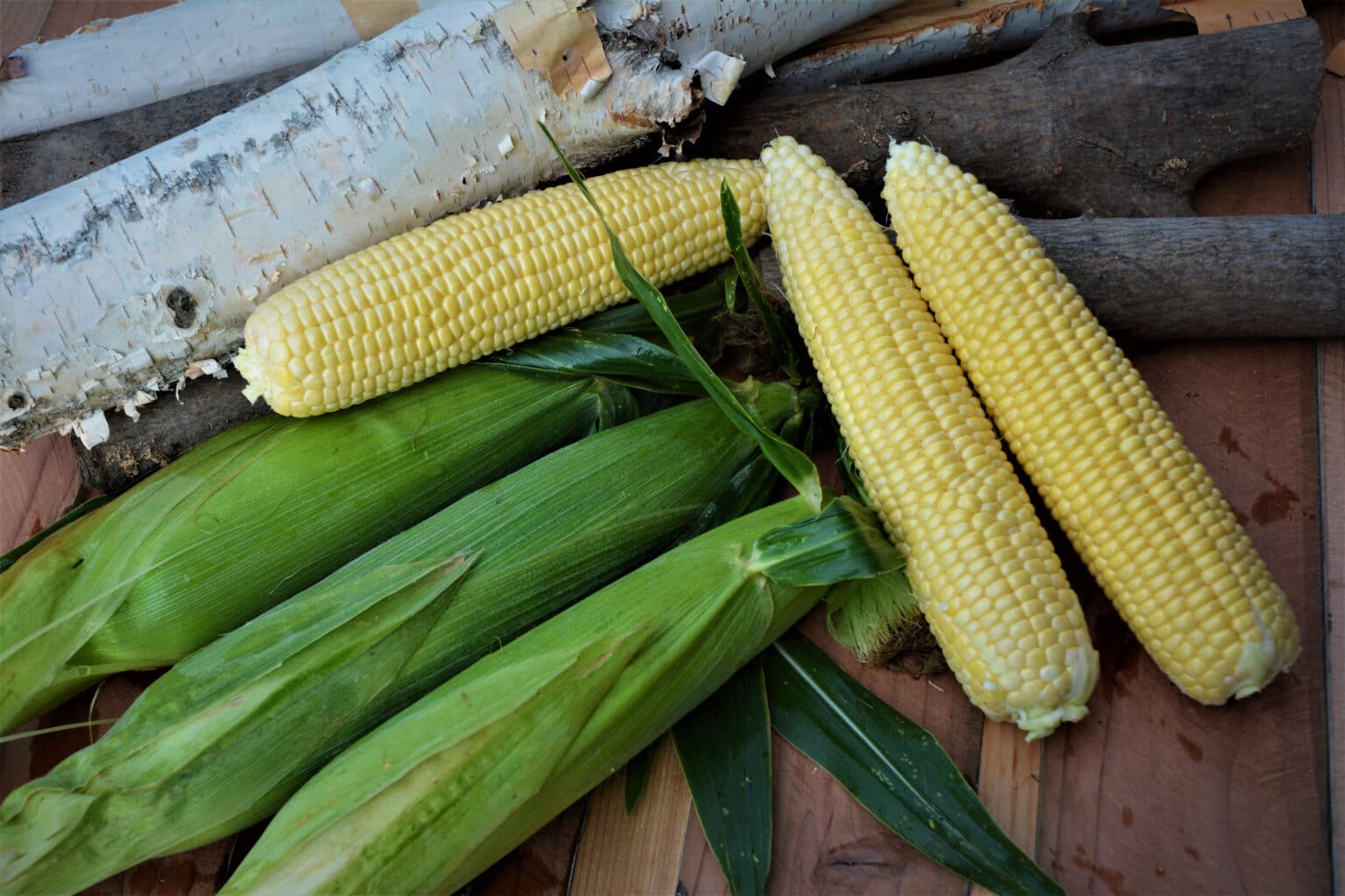 Icon XR Sweet Corn (Cruiser Treated) Seedway