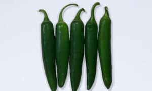 Pathfinder Pepper (Not Treated)