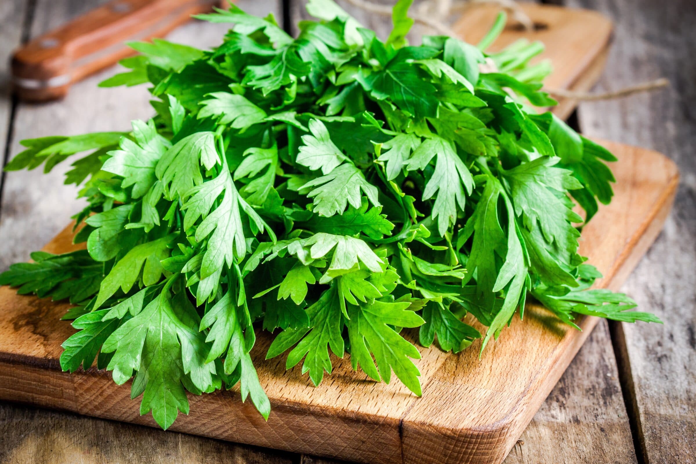 Category: Parsley | Seedway