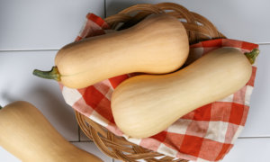 Ceres Squash (Farmore)