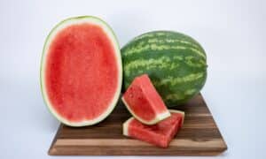 Virtue Watermelon (Not Treated)