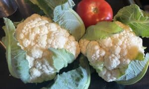 TRI-C5063 Cauliflower (Not Treated)