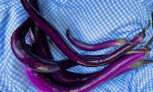 Super Violet Eggplant (Not Treated)