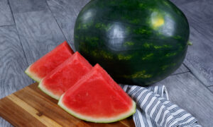 Sierre Madre Watermelon (Primed)