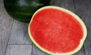 Sierra Nevada Watermelon (Primed)