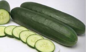 TSX CU203AS Cucumber (Farmore Treated)