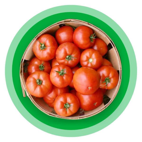 Seedway Innovative, Quality Seed Products and Services