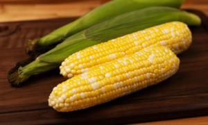 Revision Sweet Corn (Attribute II) (Cruiser Treated)