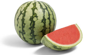 Papagayo Watermelon (Treated Seed)