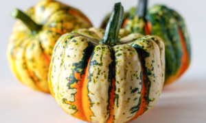 Thriller Squash (Farmore)