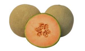 Treasure Cantaloupe (Treated Seed)