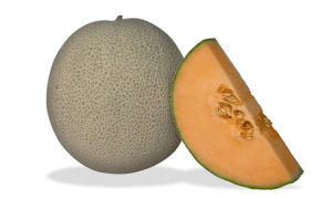 Barbossa Cantaloupe (Treated Seed)