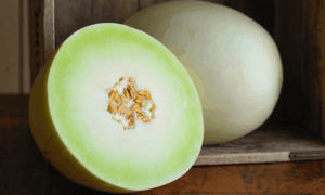 Chiriaco Honeydew Melon (Not Treated)