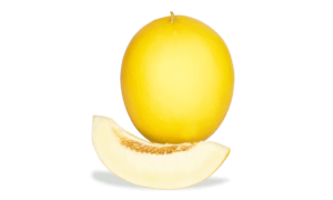 USAM 14816 Honeydew (Not Treated)