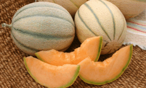 Wrangler Cantaloupe (Treated Seed)