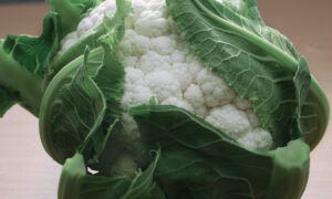 Bianca Cauliflower (Treated Seed)