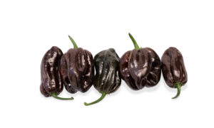 Chitam Pepper (Not Treated)