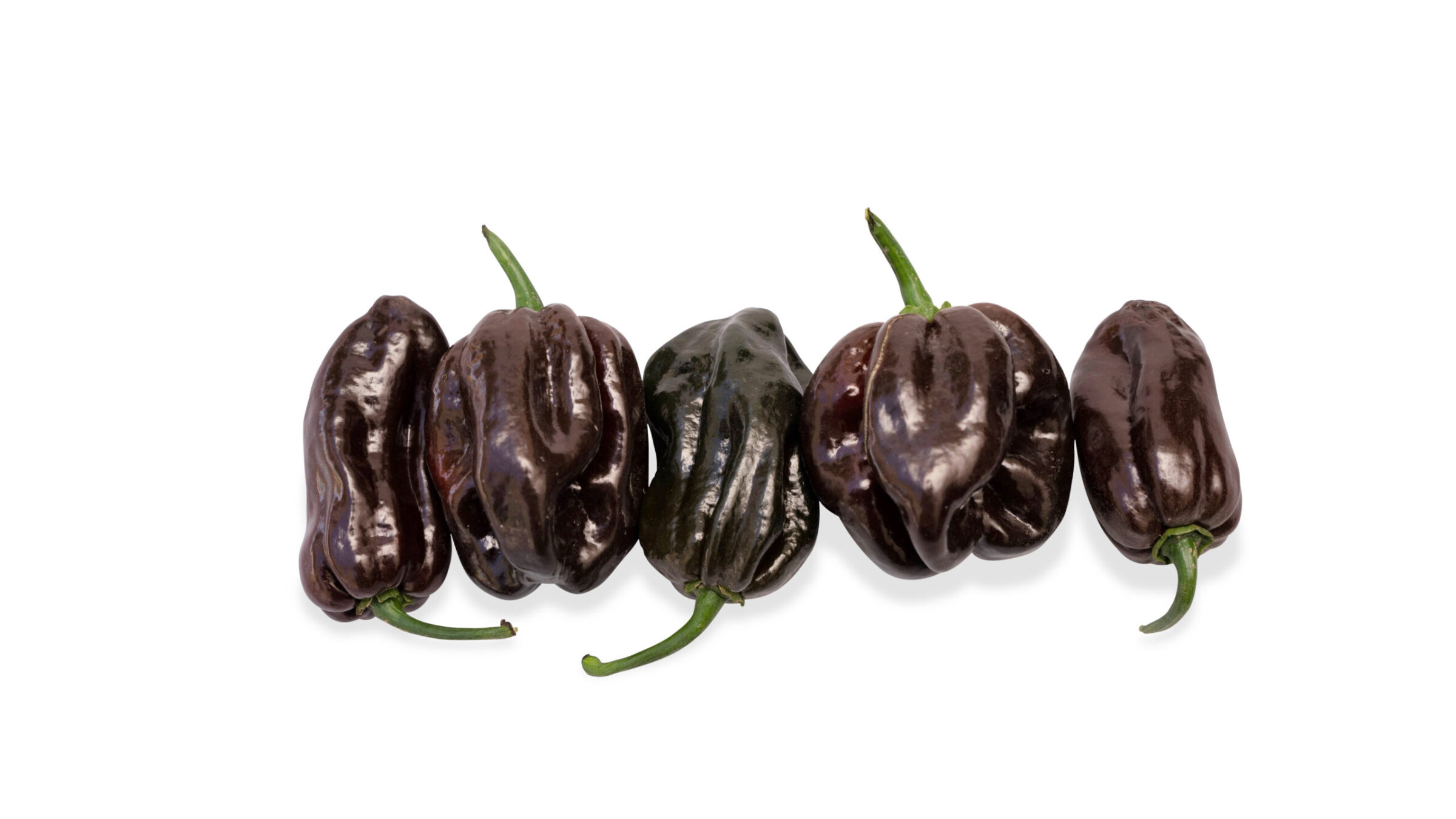 Chitam Pepper (Not Treated)