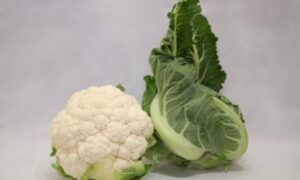 Ghostbuster Cauliflower (Not Treated)