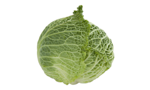 Madlene RZ Cabbage (Treated Seed)
