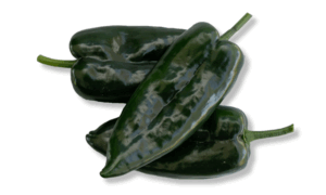 Mascota Pepper (Not Treated)