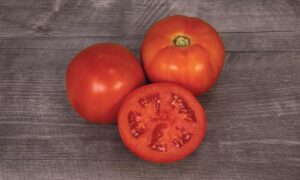 Mountain Man Tomato (Pelleted)