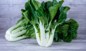 King Choi Pak (Not Treated)