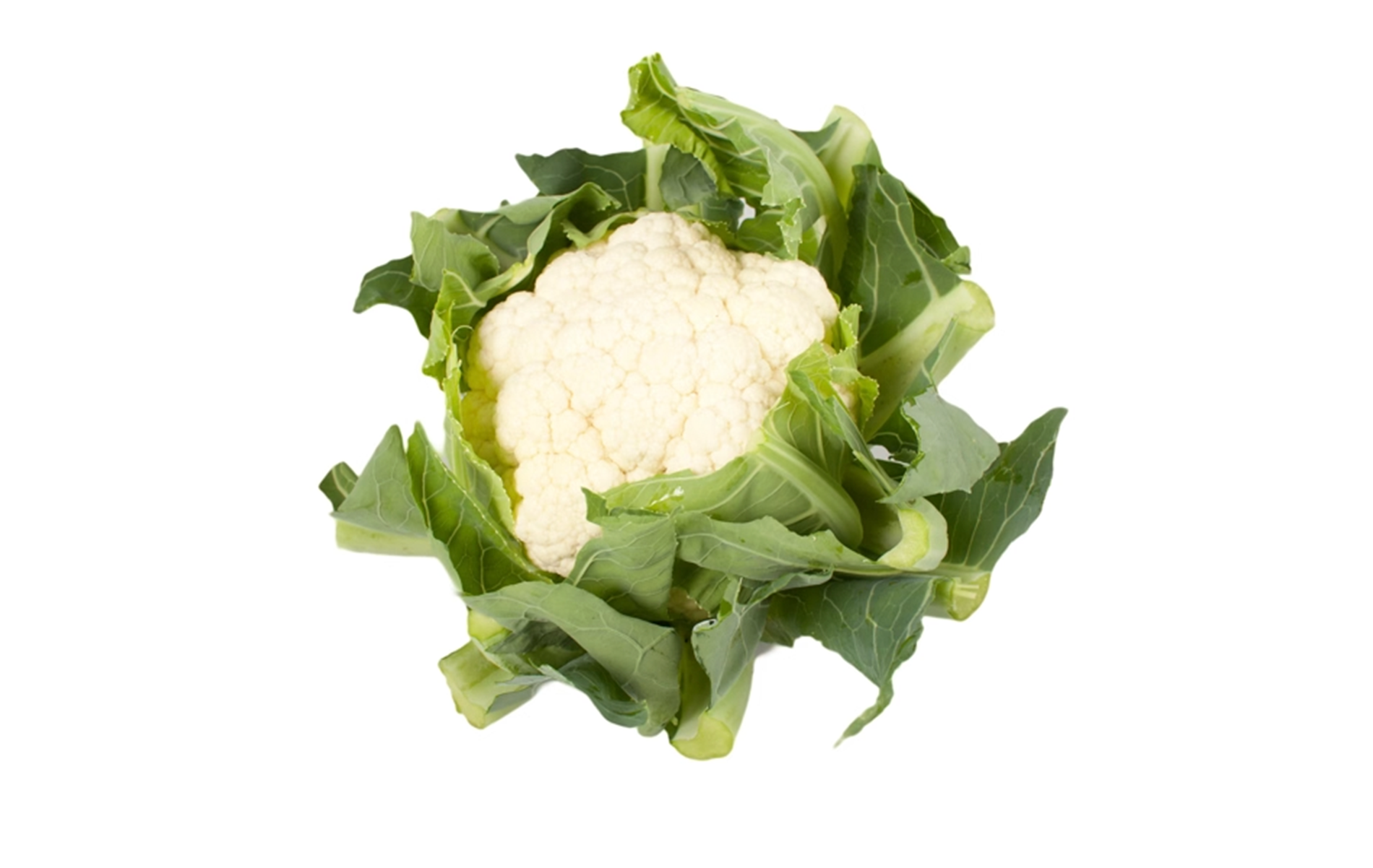 Ponderet Cauliflower (Treated Seed)