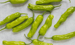 Shishimai Pepper (Not Treated)