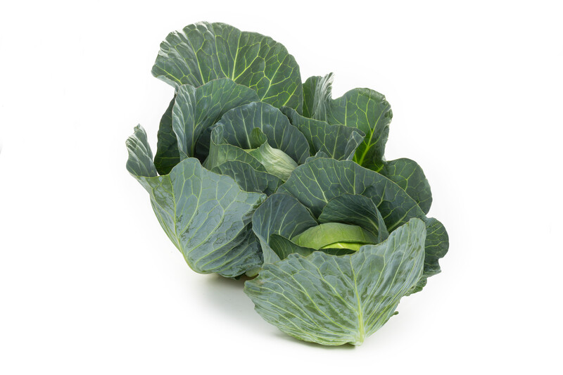 Swingma RZ Cabbage (Treated Seed) - Image 2